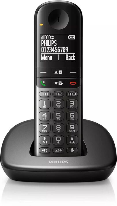 Philips Dect Telefon XL4901DS/38