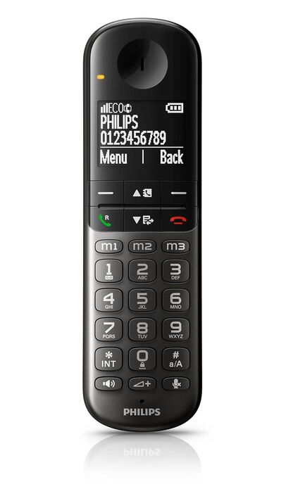 Philips Dect Telefon XL4901DS/38